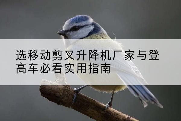 榆树电动升降机厂家-选移动剪叉升降机厂家与登高车必看实用指南