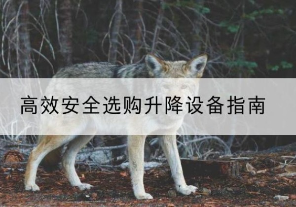 榆树升降货梯厂家推荐-*安全选购升降设备指南
